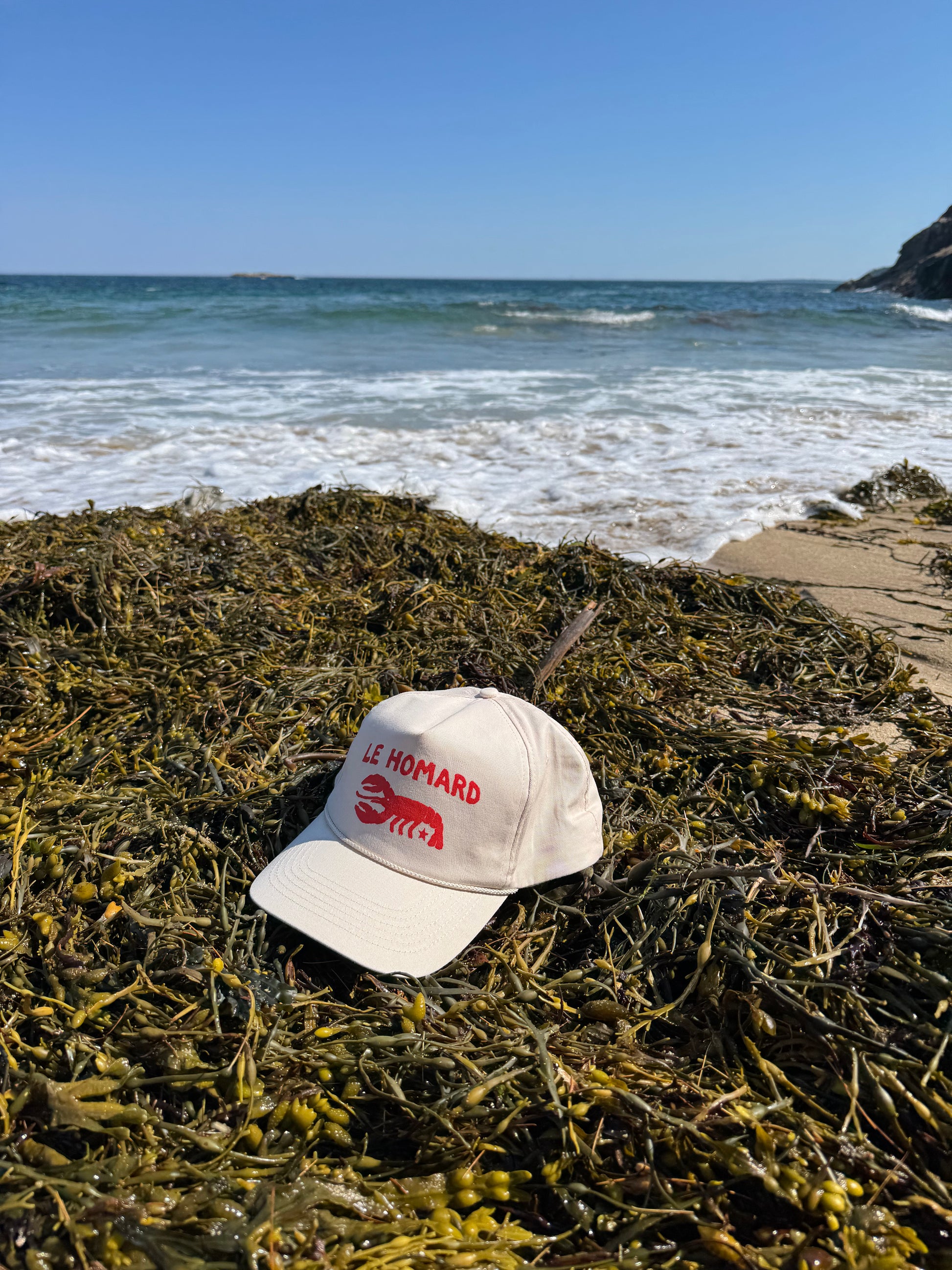 The Lobster in French Hat